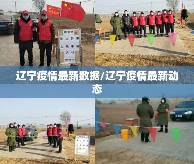 辽宁疫情最新数据/辽宁疫情最新动态
