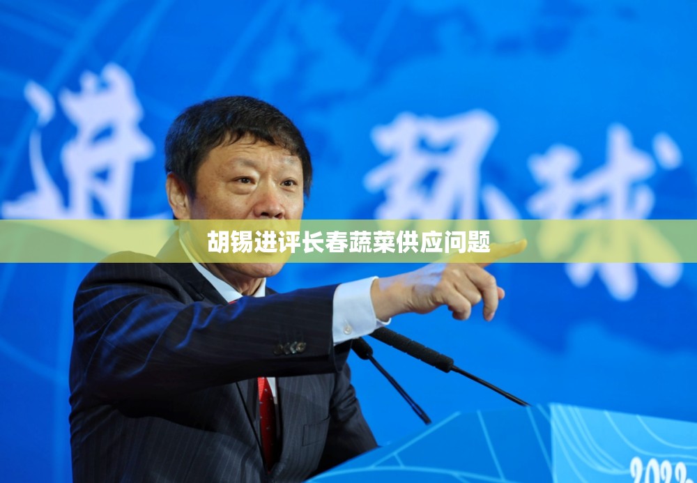 胡锡进评长春蔬菜供应问题