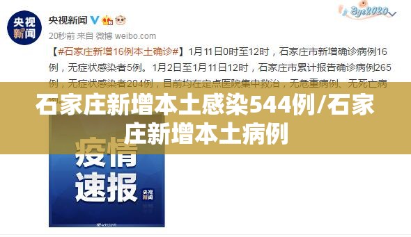 石家庄新增本土感染544例/石家庄新增本土病例