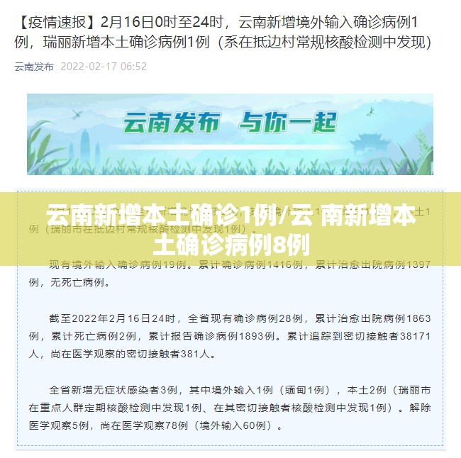 云南新增本土确诊1例/云 南新增本土确诊病例8例
