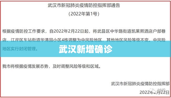 武汉新增确诊