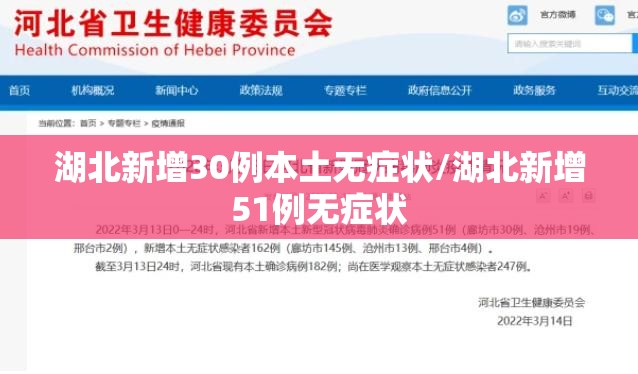 湖北新增30例本土无症状/湖北新增51例无症状