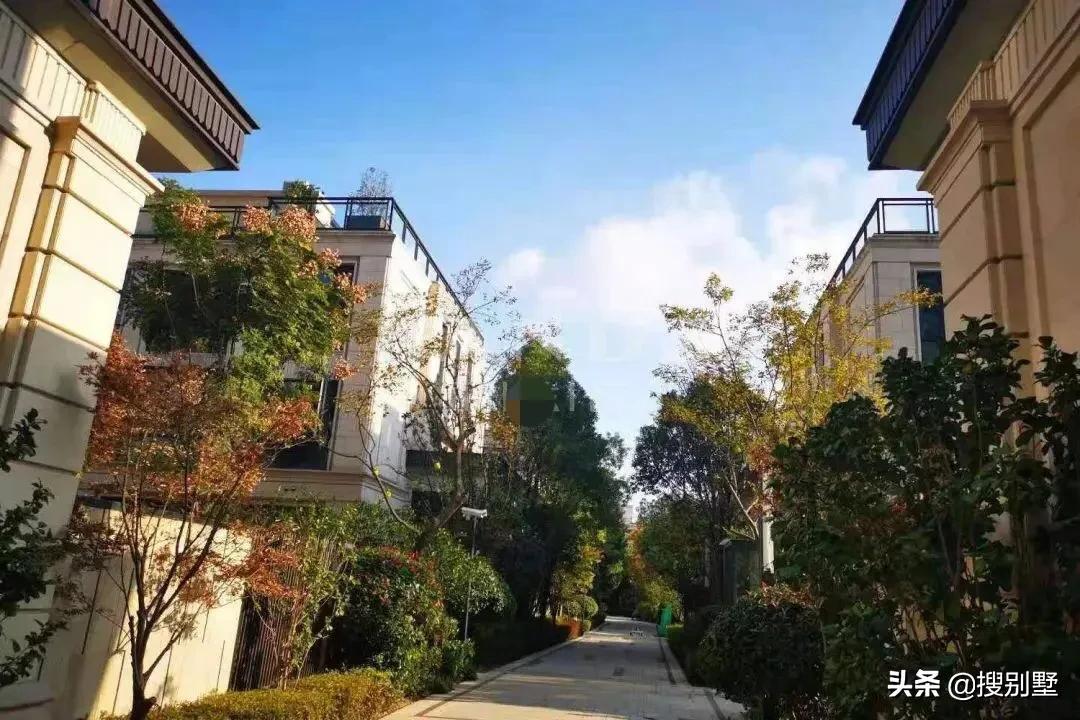 【浦东解封了吗，上海浦东解除了吗】