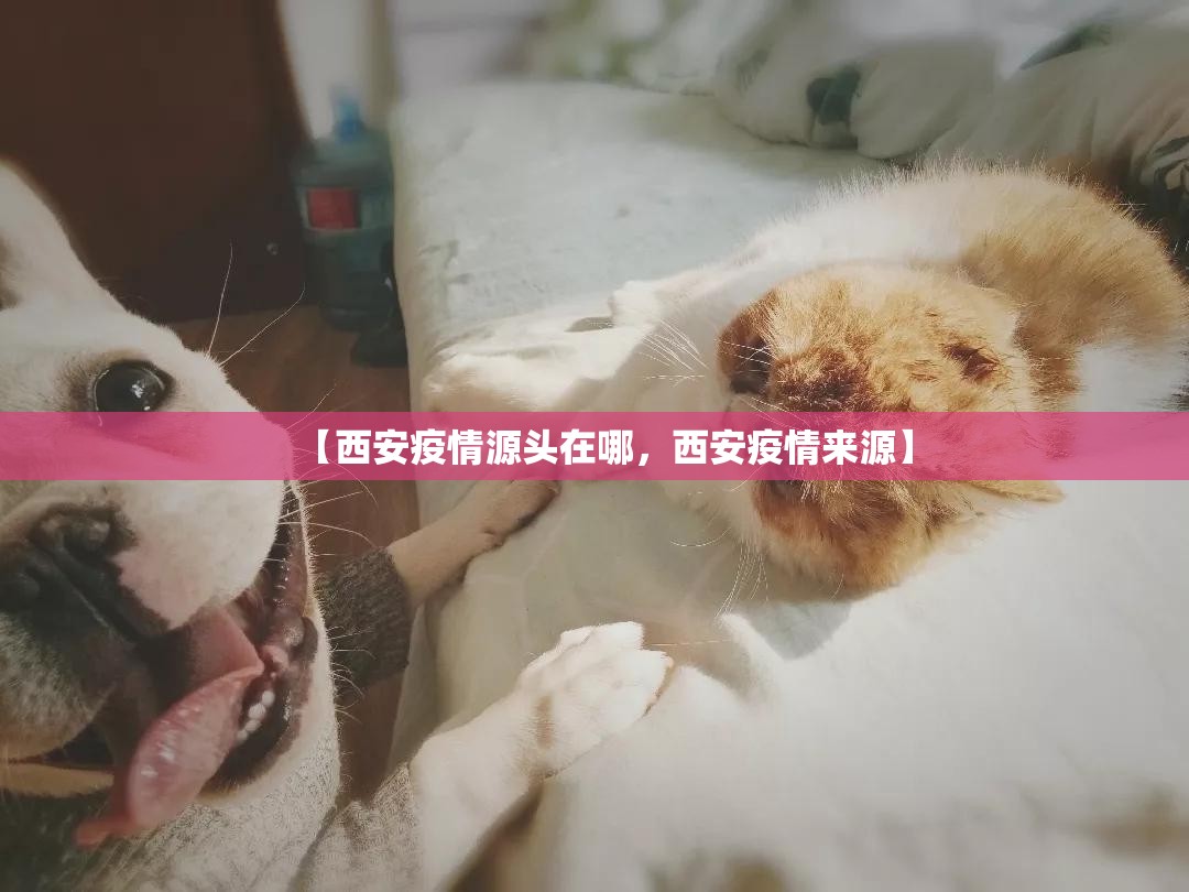 【西安疫情源头在哪，西安疫情来源】