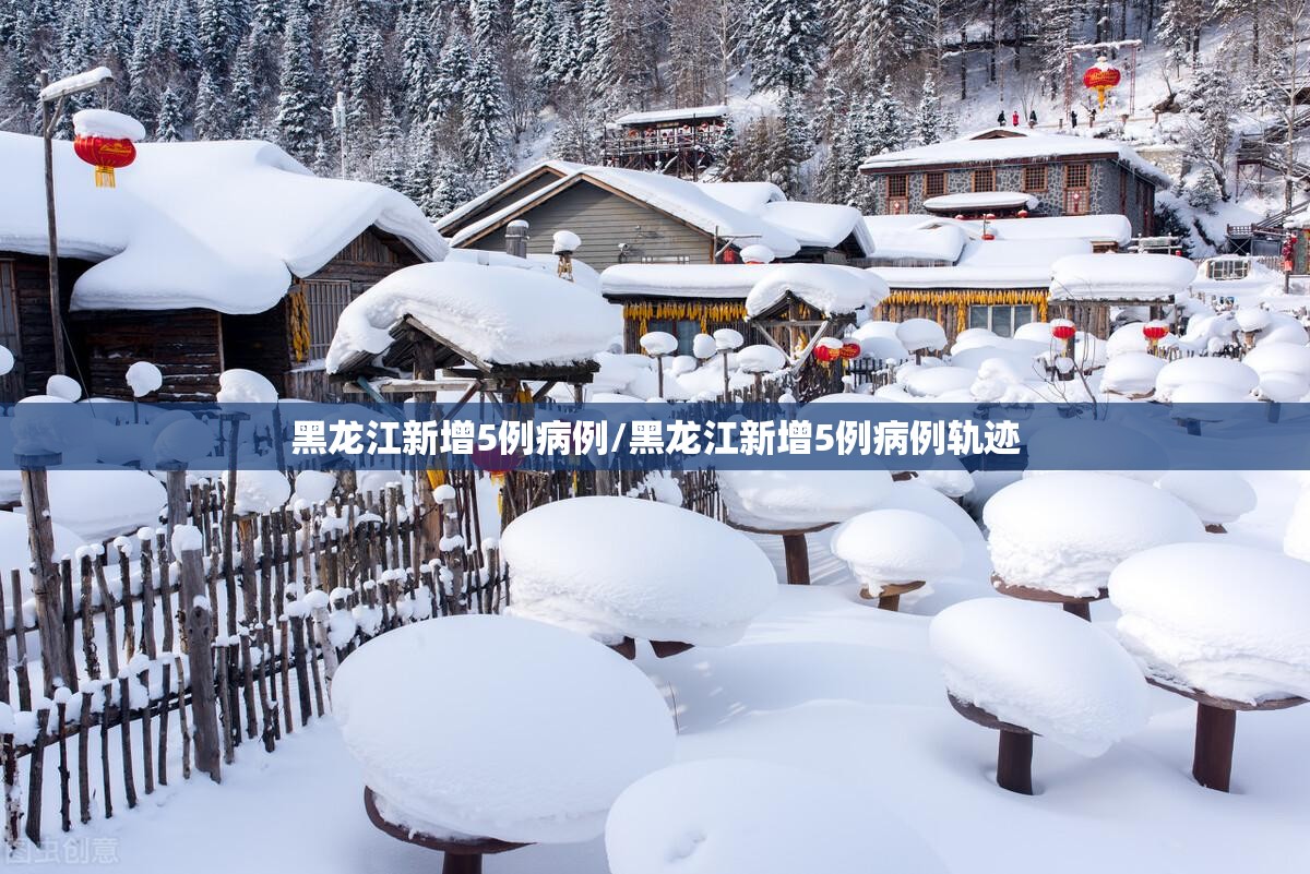 黑龙江新增5例病例/黑龙江新增5例病例轨迹
