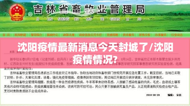 沈阳疫情最新消息今天封城了/沈阳疫情情况?