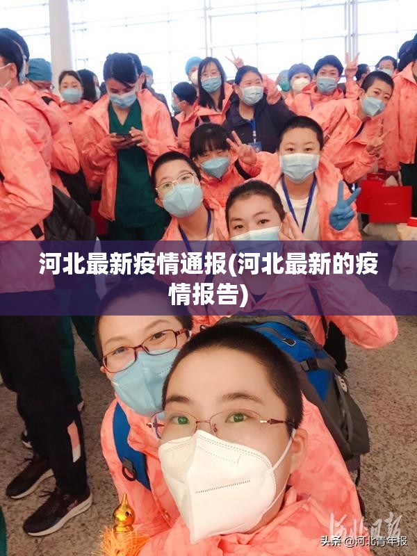 河北最新疫情通报(河北最新的疫情报告)