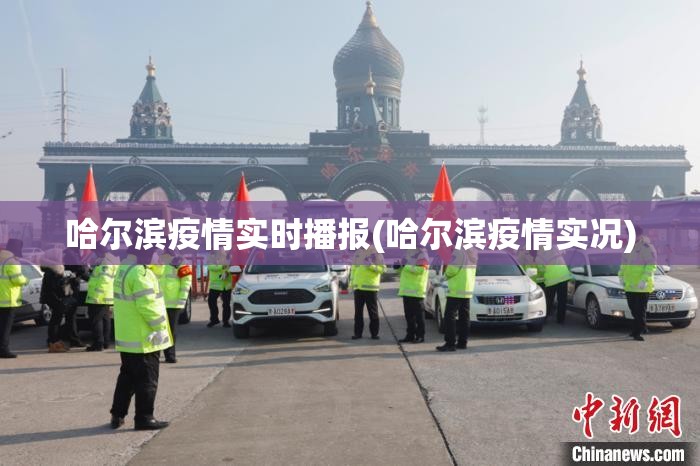 哈尔滨疫情实时播报(哈尔滨疫情实况)