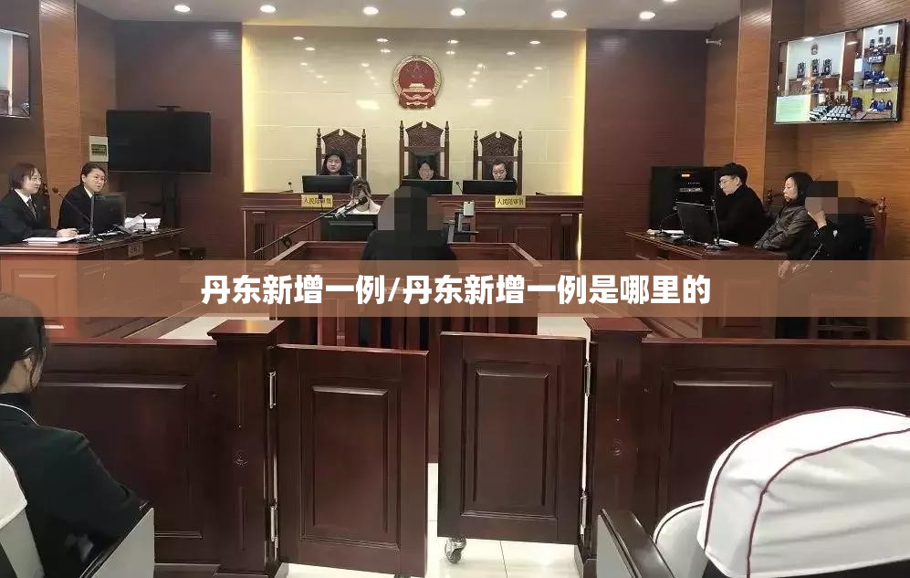 丹东新增一例/丹东新增一例是哪里的