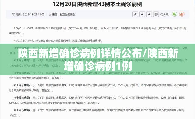 陕西新增确诊病例详情公布/陕西新增确诊病例1例