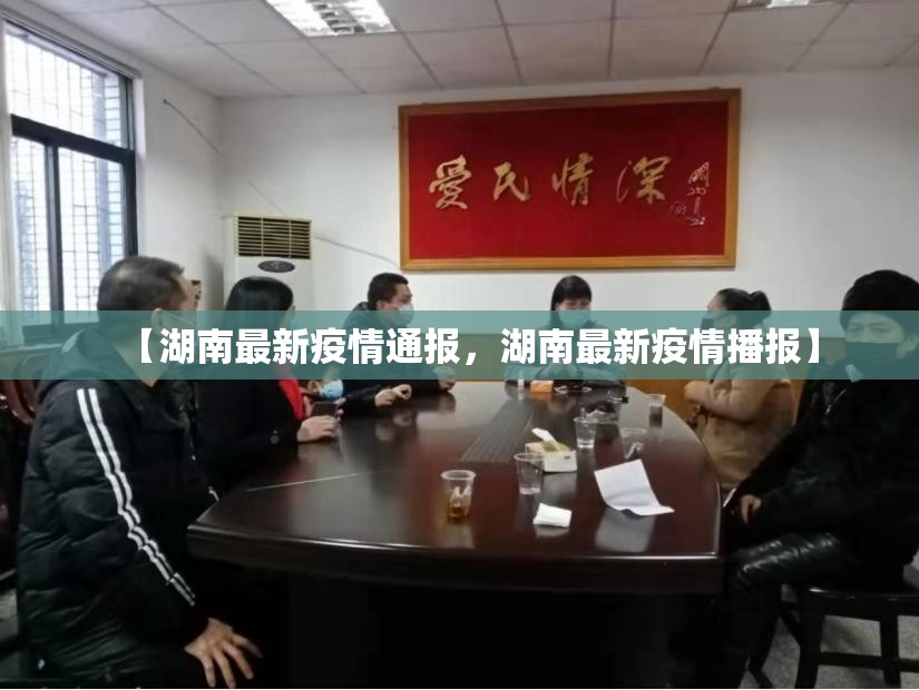 【湖南最新疫情通报，湖南最新疫情播报】