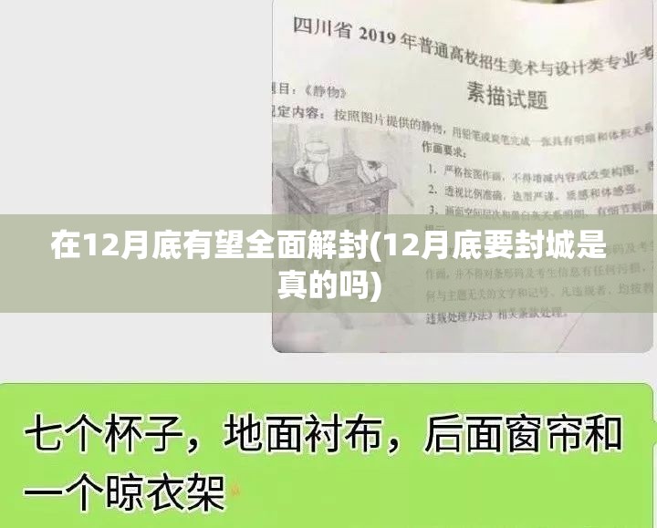 在12月底有望全面解封(12月底要封城是真的吗)