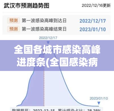 全国各城市感染高峰进度条(全国感染病例)