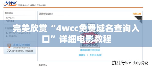 完美欣赏“4wcc免费域名查询入口”详细电影教程
