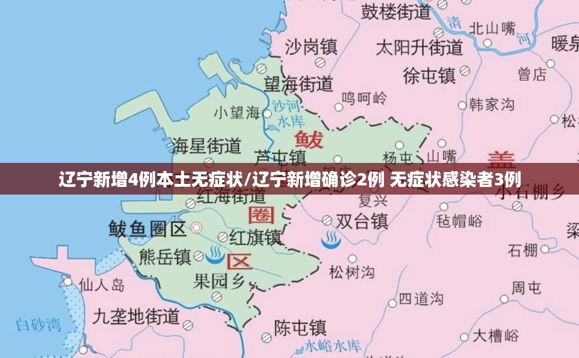 辽宁新增4例本土无症状/辽宁新增确诊2例 无症状感染者3例