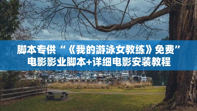 脚本专供“《我的游泳女教练》免费”电影影业脚本+详细电影安装教程 脚本专供“《我的游泳女教练》免费”电影影业脚本+详细电影安装教程
