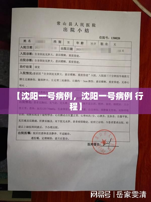 【沈阳一号病例，沈阳一号病例 行程】