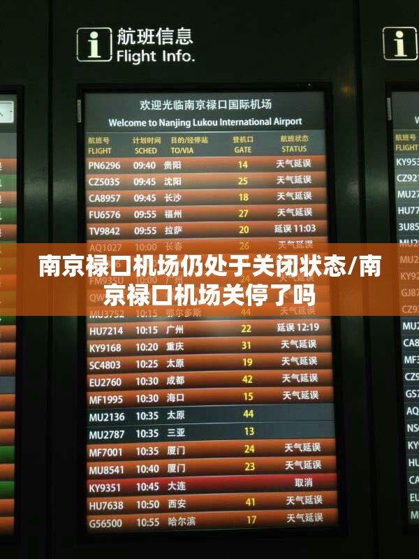 南京禄口机场仍处于关闭状态/南京禄口机场关停了吗