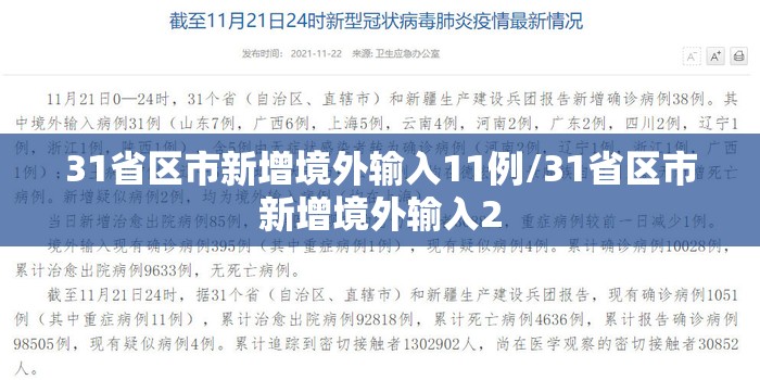 31省区市新增境外输入11例/31省区市新增境外输入2