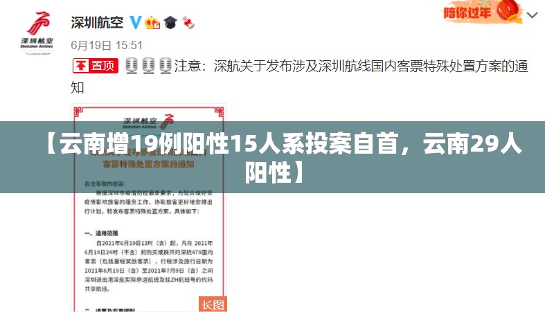 【云南增19例阳性15人系投案自首，云南29人阳性】
