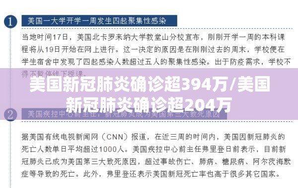 美国新冠肺炎确诊超394万/美国新冠肺炎确诊超204万
