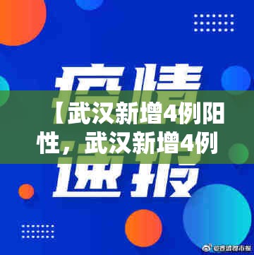 【武汉新增4例阳性，武汉新增4例肺炎病例a】