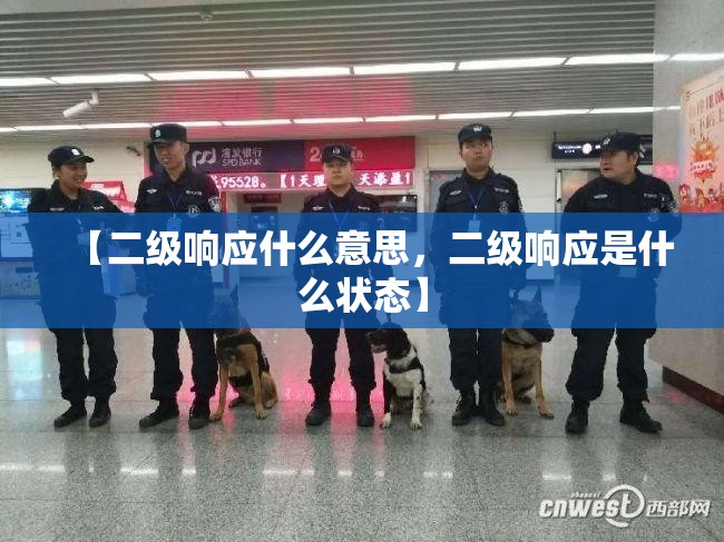 【二级响应什么意思，二级响应是什么状态】