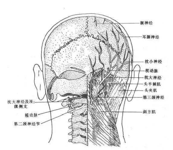 全国城市感染高峰进度(全国感染分布图)