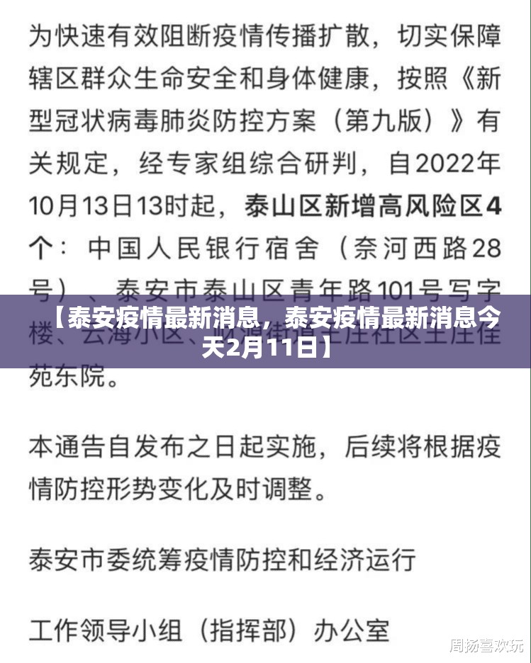 【泰安疫情最新消息,泰安疫情最新消息今天2月11日】 【泰安疫情最新消息,泰安疫情最新消息今天2月11日】