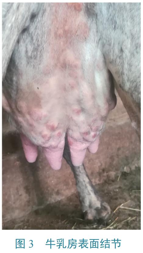 浙江新增1例新疆输入无症状病例(浙江新增无症状1例最新消息)