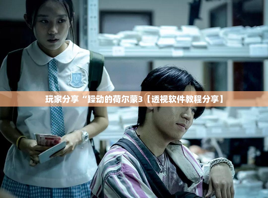 玩家分享“躁动的荷尔蒙3【透视软件教程分享】