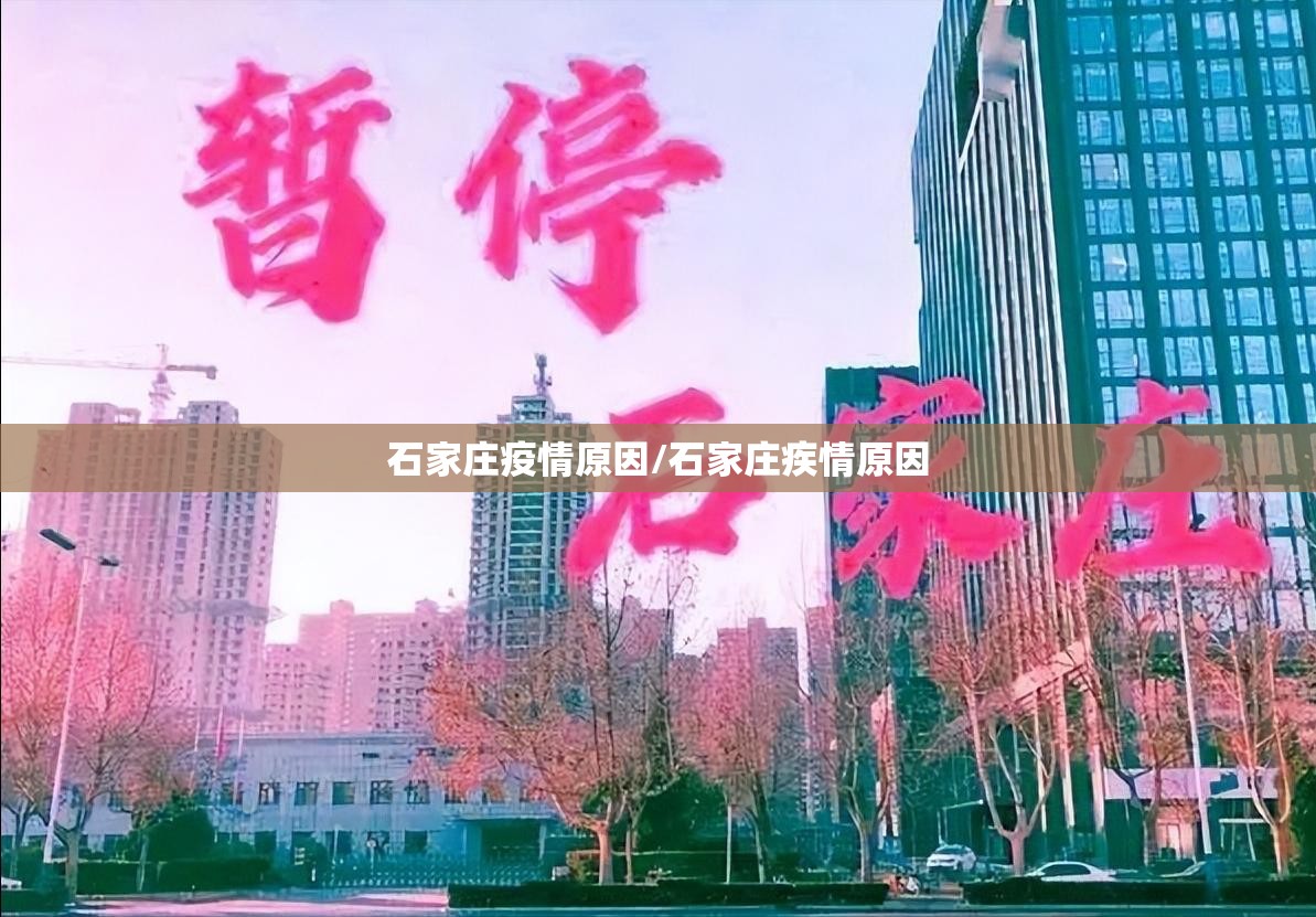 石家庄疫情原因/石家庄疾情原因