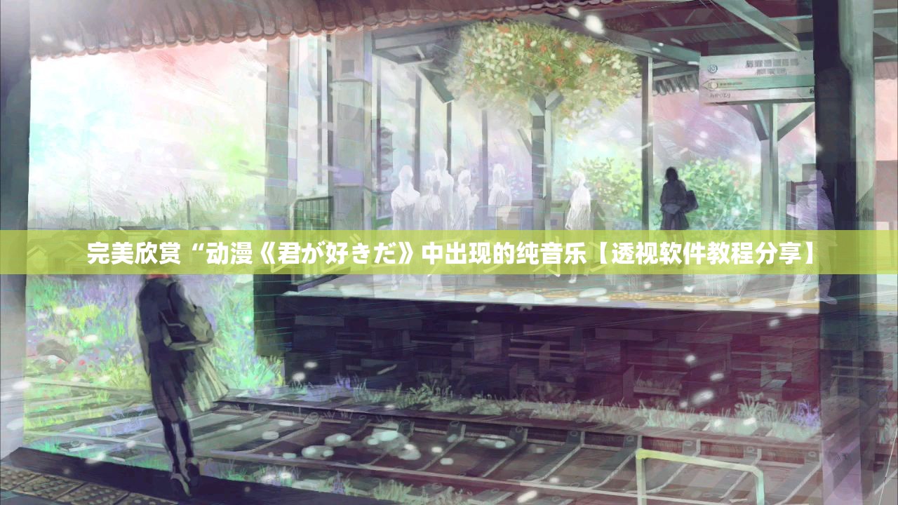完美欣赏“动漫《君が好きだ》中出现的纯音乐【透视软件教程分享】