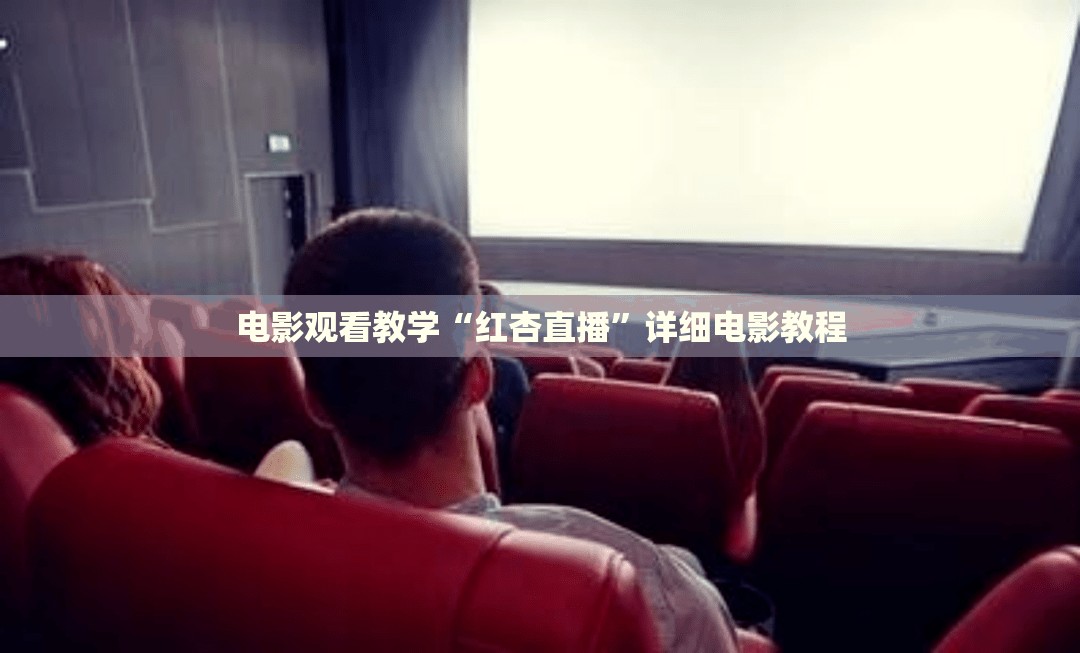 电影观看教学“红杏直播”详细电影教程