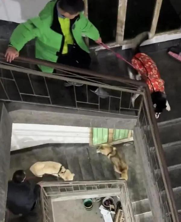 最新观影技巧“《女子醉酒在楼道被捡回家》”影业影视下载”(最新电影教程)