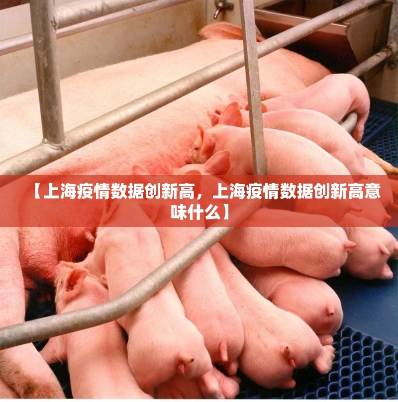 【上海疫情数据创新高，上海疫情数据创新高意味什么】