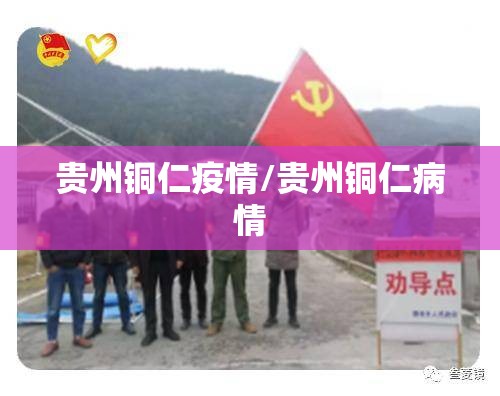 贵州铜仁疫情/贵州铜仁病情