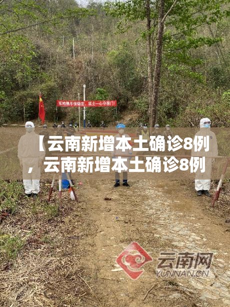 【云南新增本土确诊8例，云南新增本土确诊8例病例】