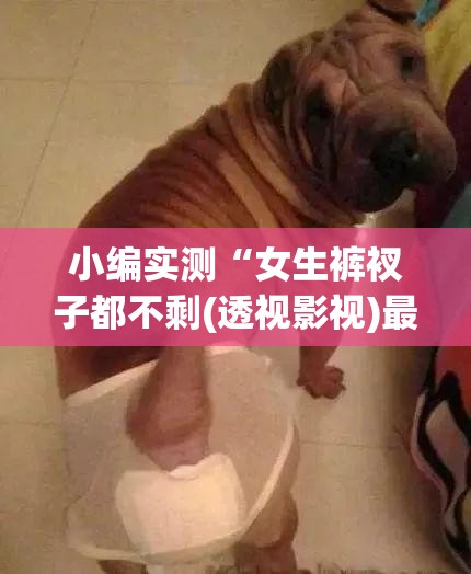小编实测“女生裤衩子都不剩(透视影视)最新影业详细教程