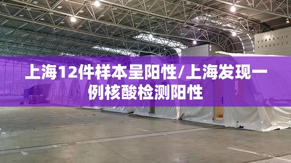 上海12件样本呈阳性/上海发现一例核酸检测阳性