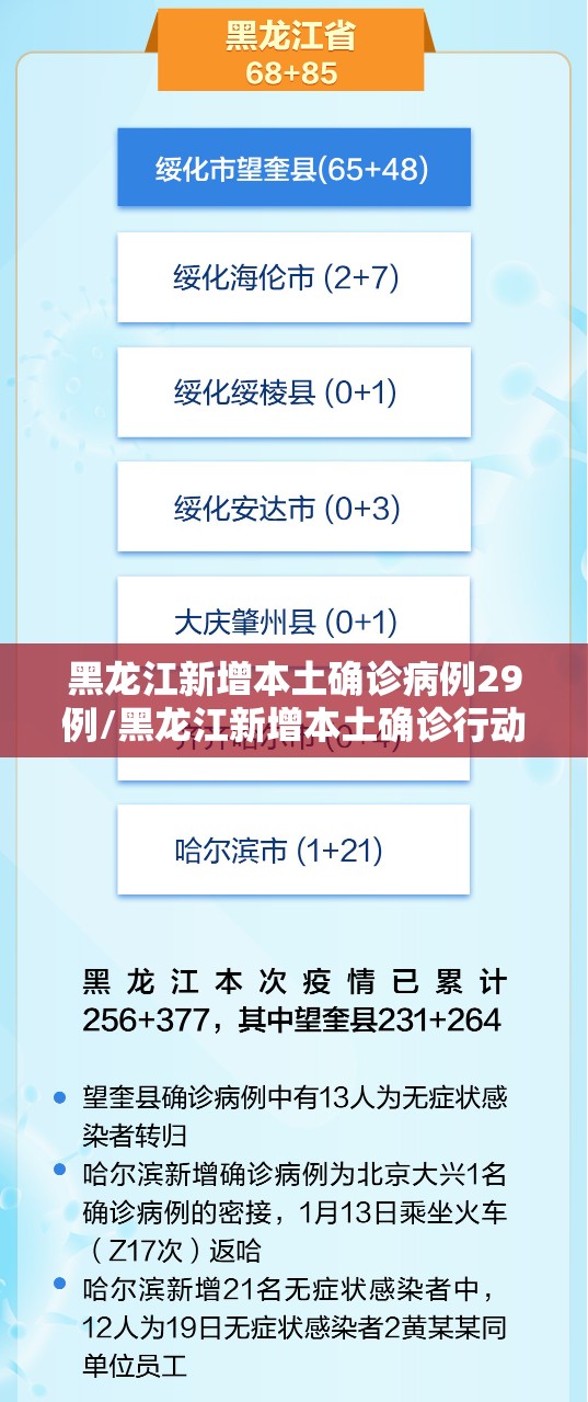 黑龙江新增本土确诊病例29例/黑龙江新增本土确诊行动轨迹
