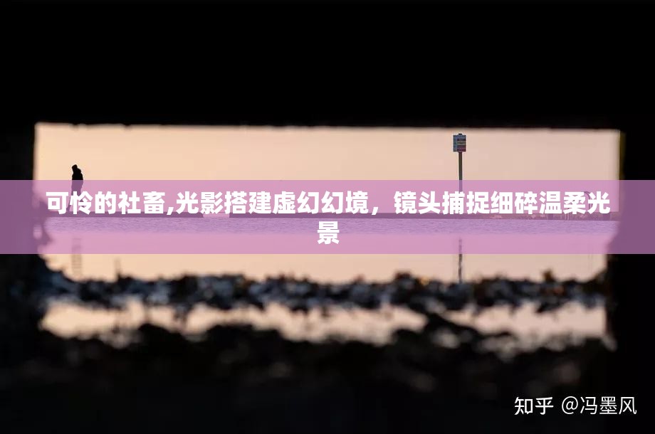 可怜的社畜,光影搭建虚幻幻境，镜头捕捉细碎温柔光景