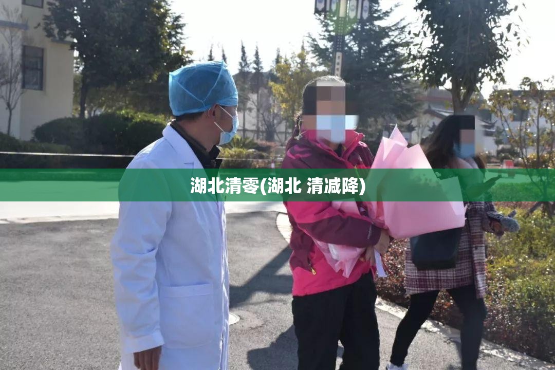 湖北清零(湖北 清减降)