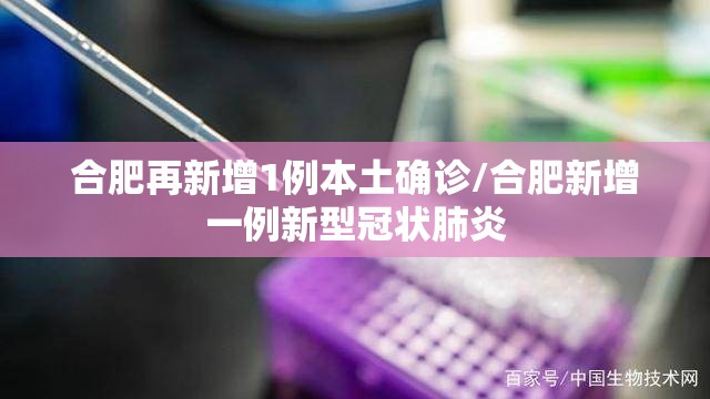 合肥再新增1例本土确诊/合肥新增一例新型冠状肺炎