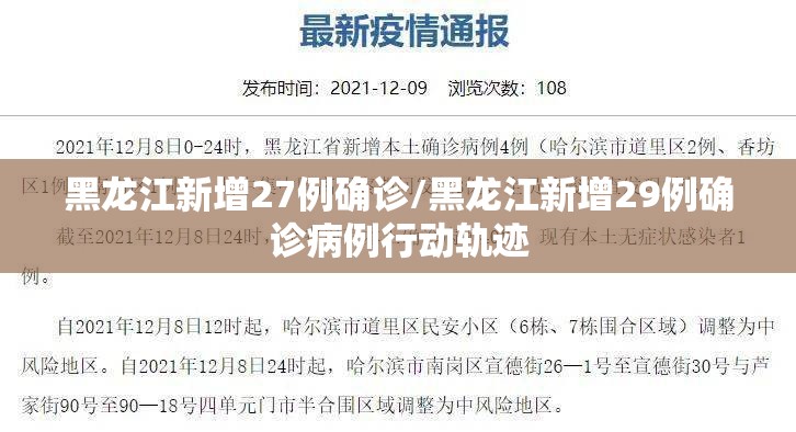 黑龙江新增27例确诊/黑龙江新增29例确诊病例行动轨迹