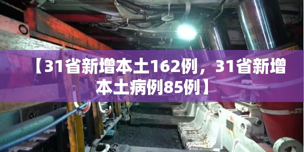 【31省新增本土162例，31省新增本土病例85例】