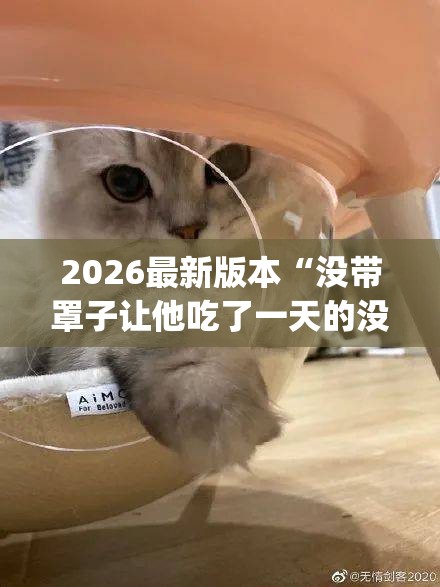 2026最新版本“没带罩子让他吃了一天的没事吧,难怪经常输有猫腻(透视)