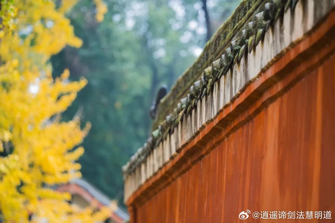 香蕉视频,观影暂离俗世纷扰，镜头走过山川街巷朝夕