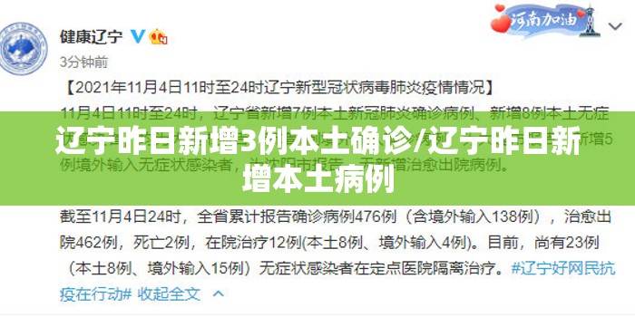 辽宁昨日新增3例本土确诊/辽宁昨日新增本土病例