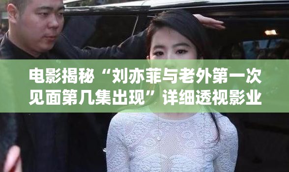 电影揭秘“刘亦菲与老外第一次见面第几集出现”详细透视影业教学(全新上线)